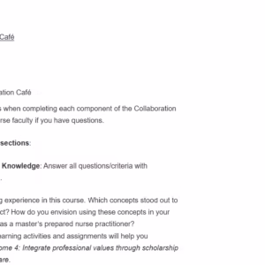 NR585NP-69043 Discussions Week 8: Collaboration Café Reflection on Learning